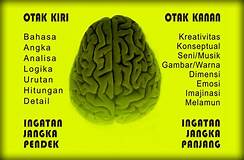 image CARA MENINGKATKAN DAYA INGAT OTAK 